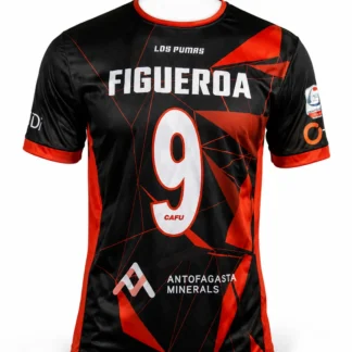 Camiseta Deportes Antofagasta 2020 Training Original Figueroa